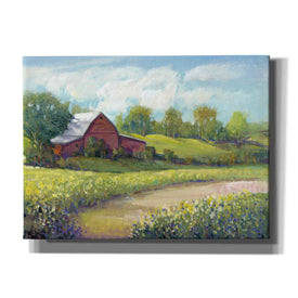 'Rural America II' by Tim O'Toole, Canvas Wall Art