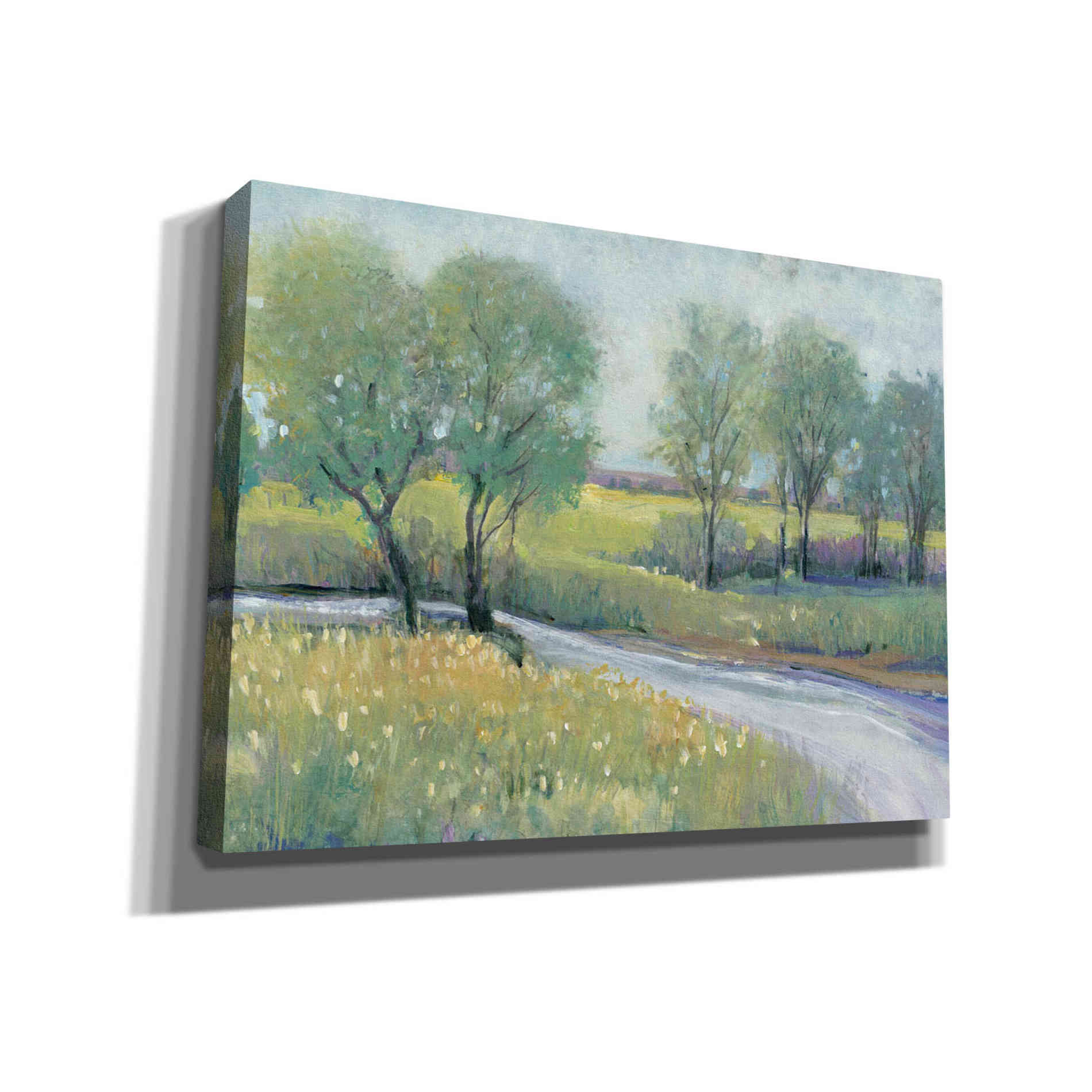 'Summer Stream I' by Tim O'Toole, Canvas Wall Art