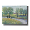 'Summer Stream I' by Tim O'Toole, Canvas Wall Art