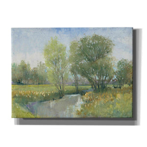 'Summer Stream II' by Tim O'Toole, Canvas Wall Art