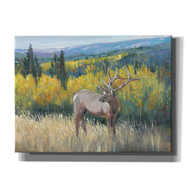 'View From the Top I' by Tim O'Toole, Canvas Wall Art