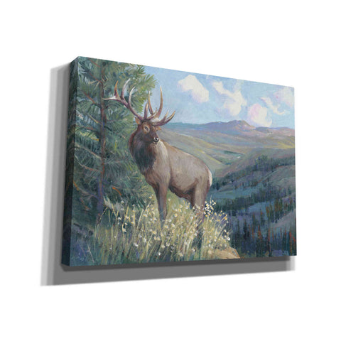 Image of 'View From the Top II' by Tim O'Toole, Canvas Wall Art