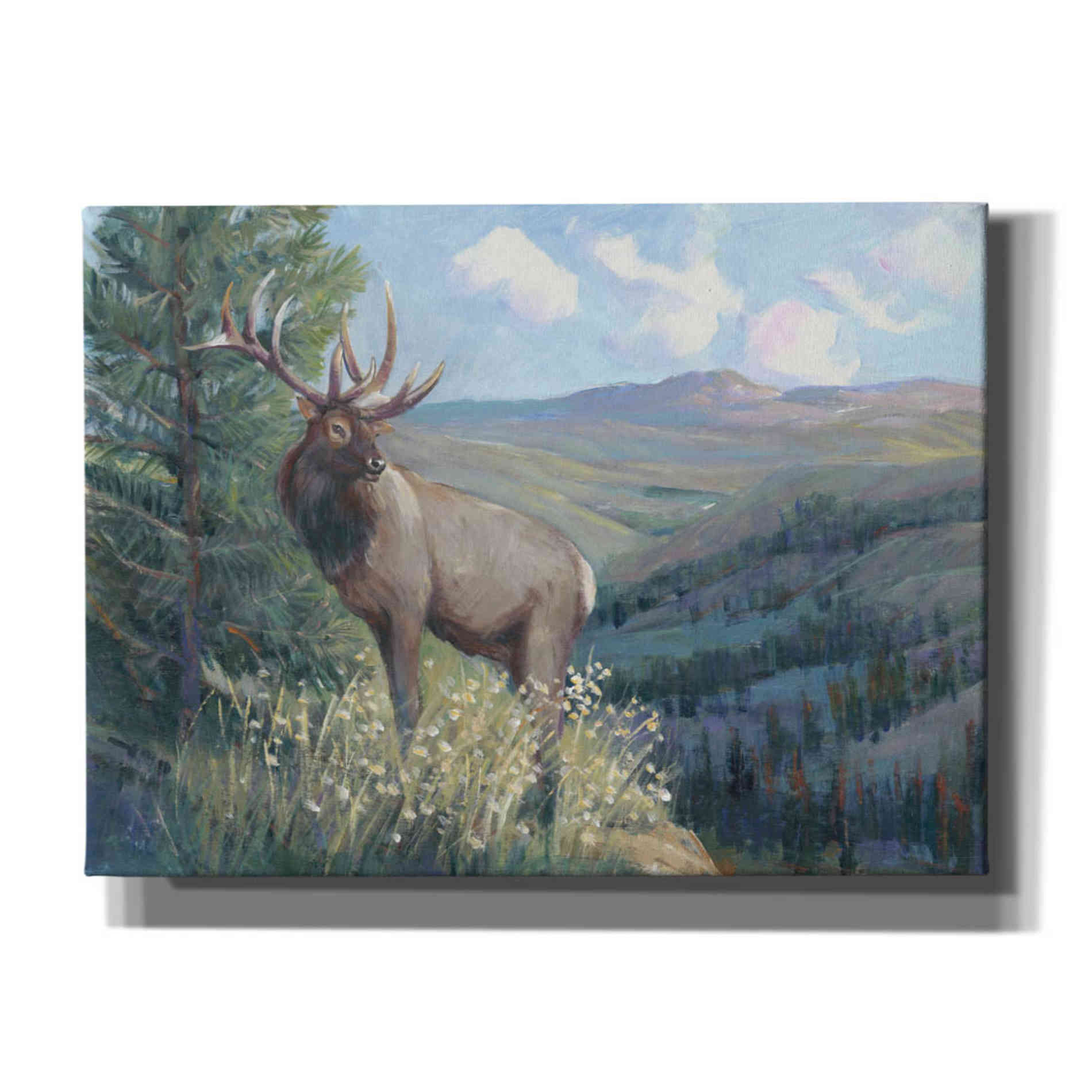 'View From the Top II' by Tim O'Toole, Canvas Wall Art