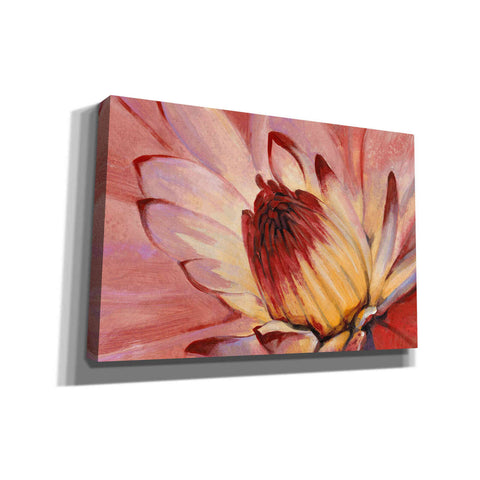 Image of 'Micro Floral I' by Tim O'Toole, Canvas Wall Art
