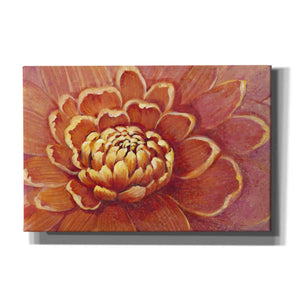 'Micro Floral II' by Tim O'Toole, Canvas Wall Art