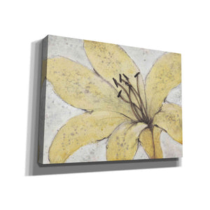 'Transparency Flower II' by Tim O'Toole, Canvas Wall Art