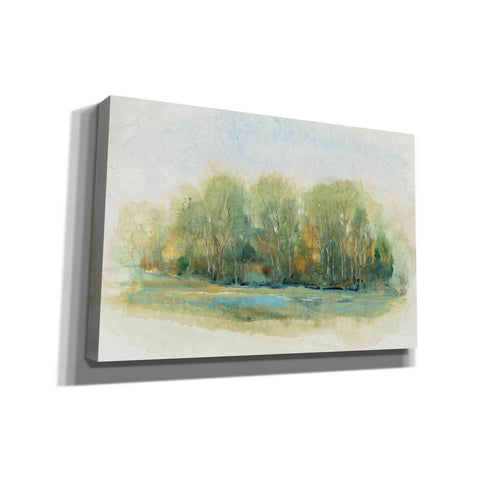 Image of 'Forest Vignette I' by Tim O'Toole, Canvas Wall Art