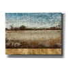 'Infinite Pasture' by Tim O'Toole, Canvas Wall Art