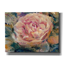 'Floral in Bloom IV' by Tim O'Toole, Canvas Wall Art