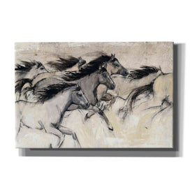 'Horses in Motion I' by Tim O'Toole, Canvas Wall Art