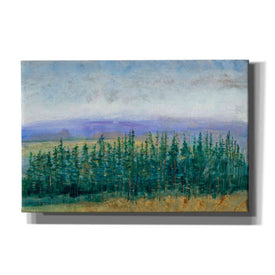 'Pine Tops II' by Tim O'Toole, Canvas Wall Art