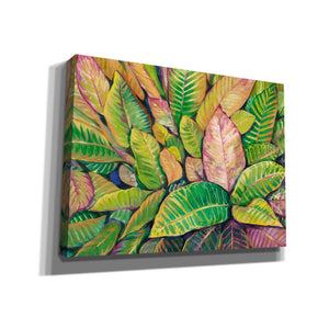 'Tropical Close Up I' by Tim O'Toole, Canvas Wall Art
