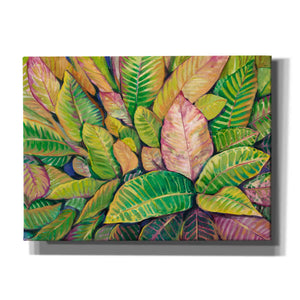 'Tropical Close Up I' by Tim O'Toole, Canvas Wall Art