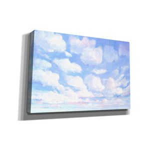 'Sky High II' by Tim O'Toole, Canvas Wall Art