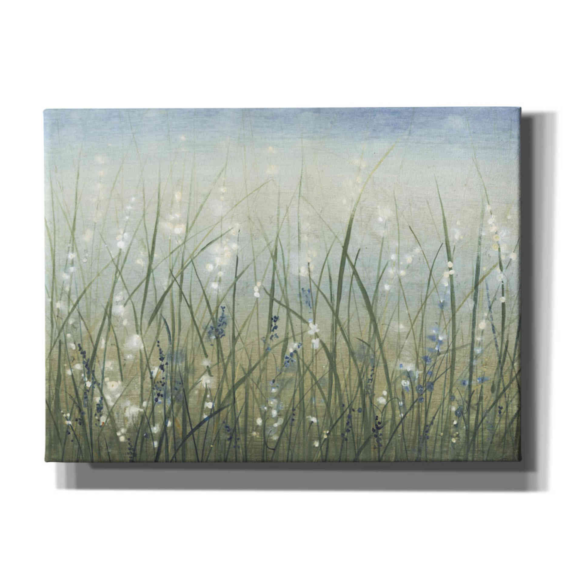 'Bliss I' by Tim O'Toole, Canvas Wall Art