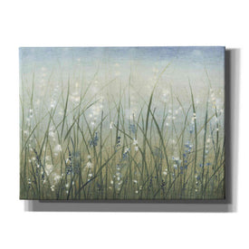 'Bliss I' by Tim O'Toole, Canvas Wall Art