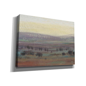 'Fast Fading Light II' by Tim O'Toole, Canvas Wall Art