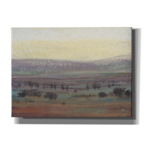 'Fast Fading Light II' by Tim O'Toole, Canvas Wall Art