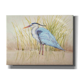 'Heron & Reeds II' by Tim O'Toole, Canvas Wall Art