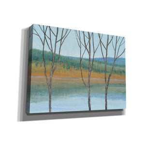 'Between Water III' by Tim O'Toole, Canvas Wall Art