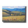 'Mountain Pass I' by Tim O'Toole, Canvas Wall Art
