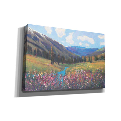 Image of 'Mountain Pass II' by Tim O'Toole, Canvas Wall Art