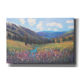 'Mountain Pass II' by Tim O'Toole, Canvas Wall Art