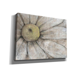 'Close-Up Daisy I' by Tim O'Toole, Canvas Wall Art