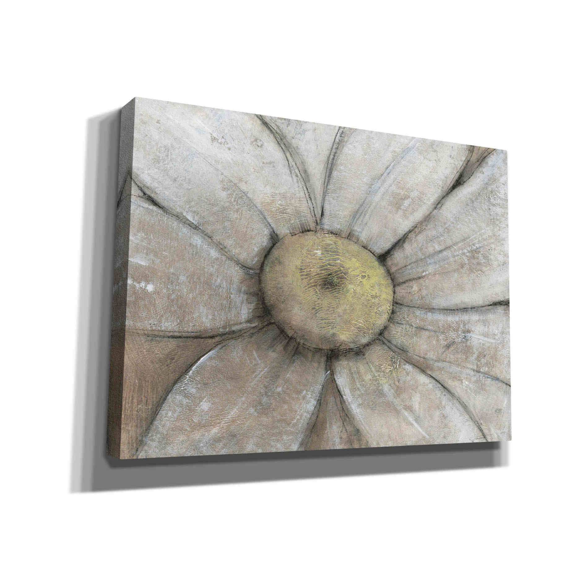 'Close-Up Daisy II' by Tim O'Toole, Canvas Wall Art