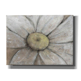 'Close-Up Daisy II' by Tim O'Toole, Canvas Wall Art