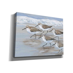 'Sandpipers I' by Tim O'Toole, Canvas Wall Art