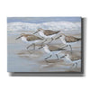 'Sandpipers I' by Tim O'Toole, Canvas Wall Art