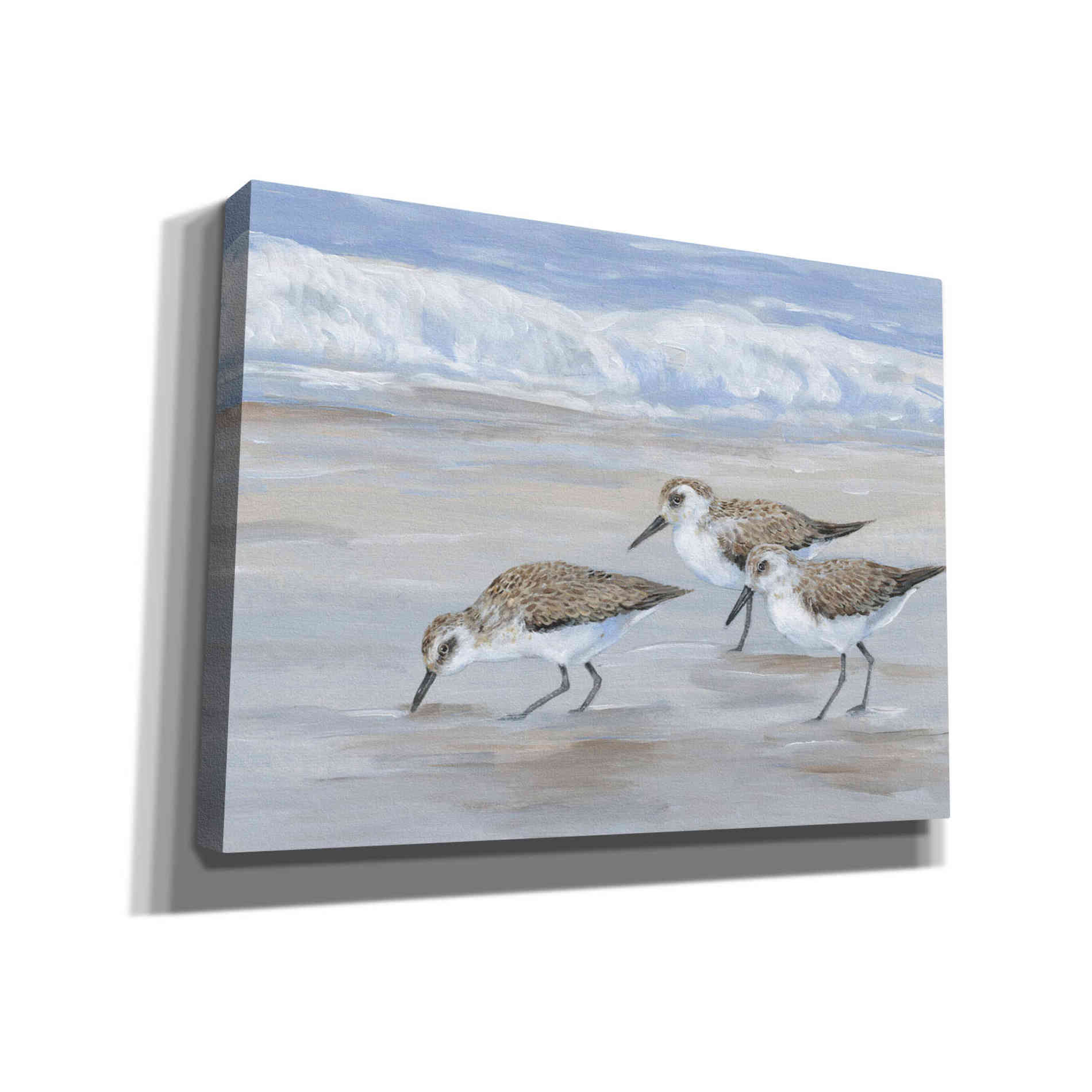 'Sandpipers II' by Tim O'Toole, Canvas Wall Art