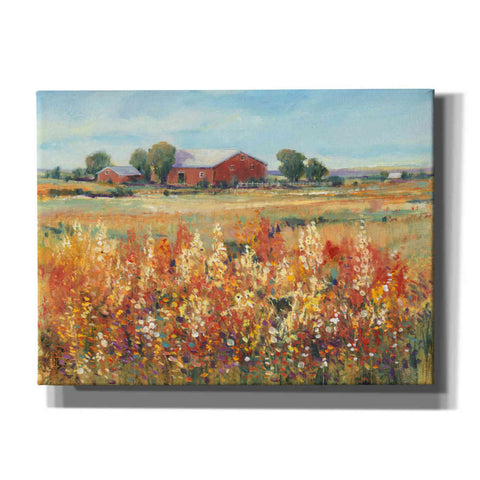 Image of 'Country View II' by Tim O'Toole, Canvas Wall Art