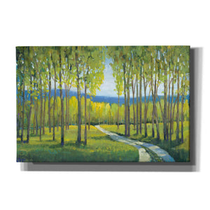 'Morning Stroll I' by Tim O'Toole, Canvas Wall Art