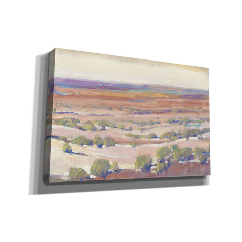 Image of 'High Desert Pastels I' by Tim O'Toole, Canvas Wall Art