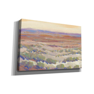 'High Desert Pastels II' by Tim O'Toole, Canvas Wall Art