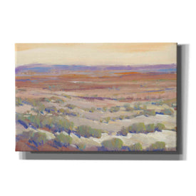 'High Desert Pastels II' by Tim O'Toole, Canvas Wall Art