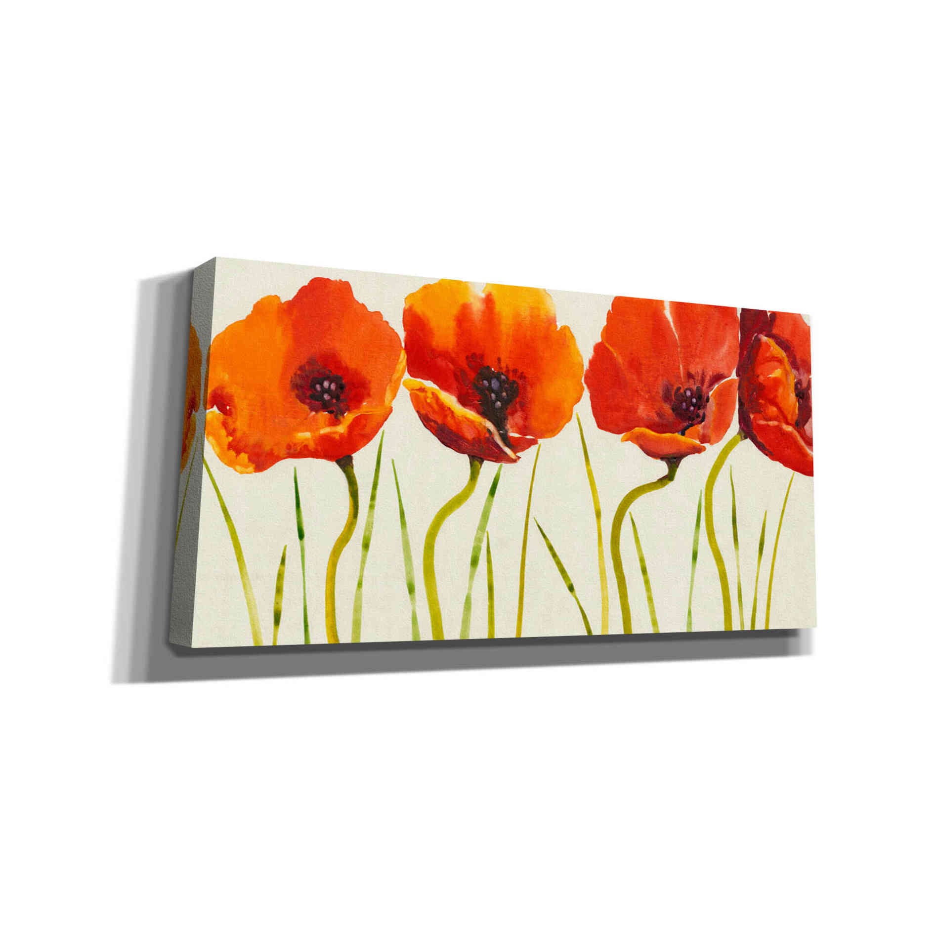 'Row of Tulips II' by Tim O'Toole, Canvas Wall Art