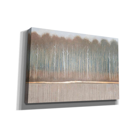 Image of 'Along the River Bank II' by Tim O'Toole, Canvas Wall Art