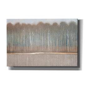 'Along the River Bank II' by Tim O'Toole, Canvas Wall Art