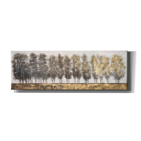 Image of 'Gilt Foliage' by Tim O'Toole, Canvas Wall Art