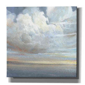 'Passing Storm II' by Tim O'Toole, Canvas Wall Art