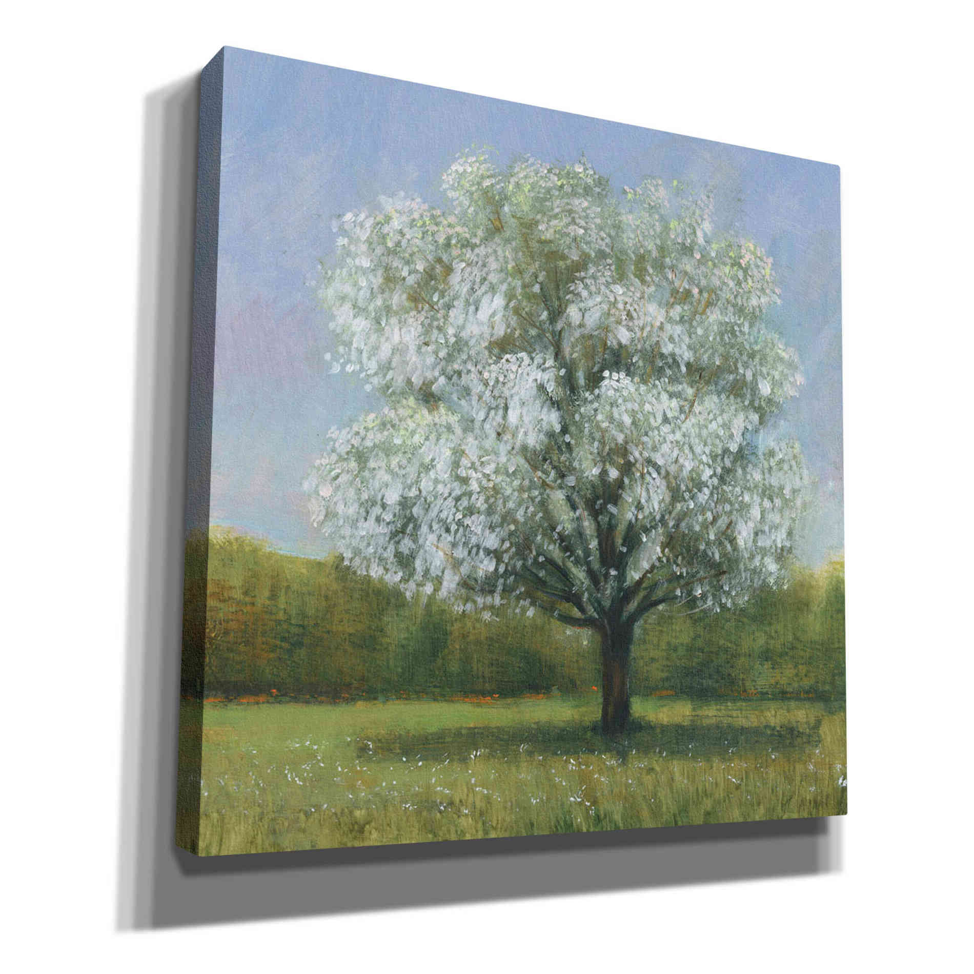 'Spring Blossom Tree II' by Tim O'Toole, Canvas Wall Art