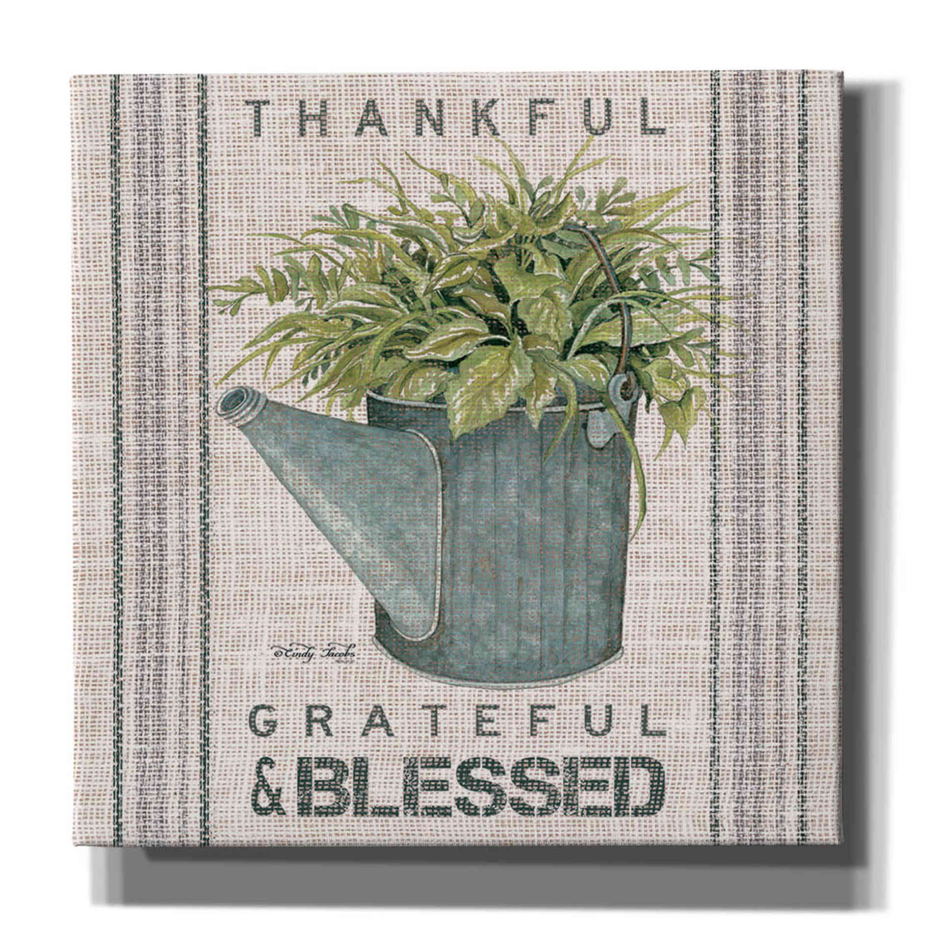 'Galvanized Watering Can Blessed' by Cindy Jacobs, Canvas Wall Art