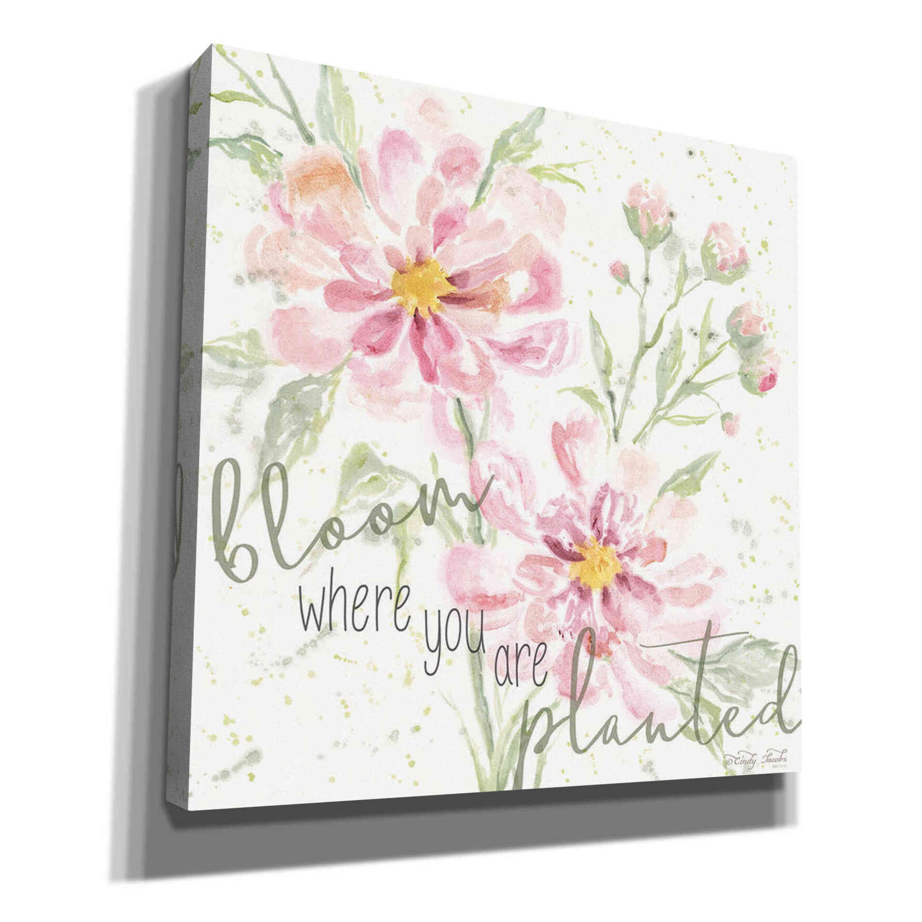 'Bloom Where You are Planted' by Cindy Jacobs, Canvas Wall Art