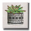 'Cactus Mud Cloth Vase I' by Cindy Jacobs, Canvas Wall Art