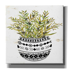'Mud Cloth Succulent I' by Cindy Jacobs, Canvas Wall Art