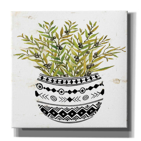 Image of 'Mud Cloth Succulent I' by Cindy Jacobs, Canvas Wall Art