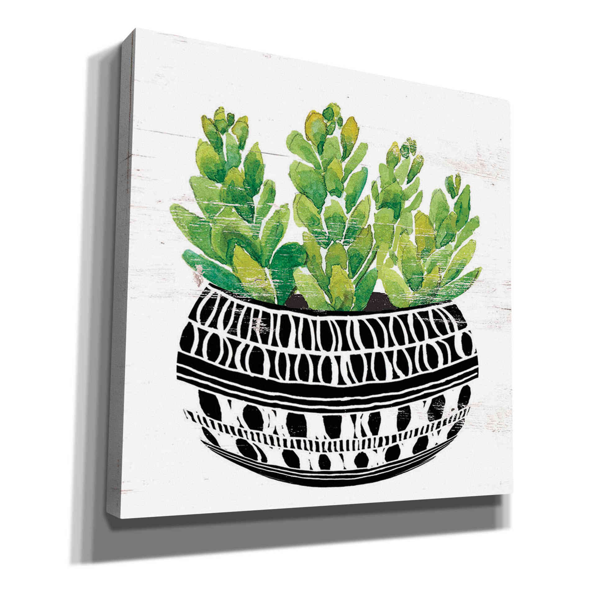 'Mud Cloth Succulent IV' by Cindy Jacobs, Canvas Wall Art